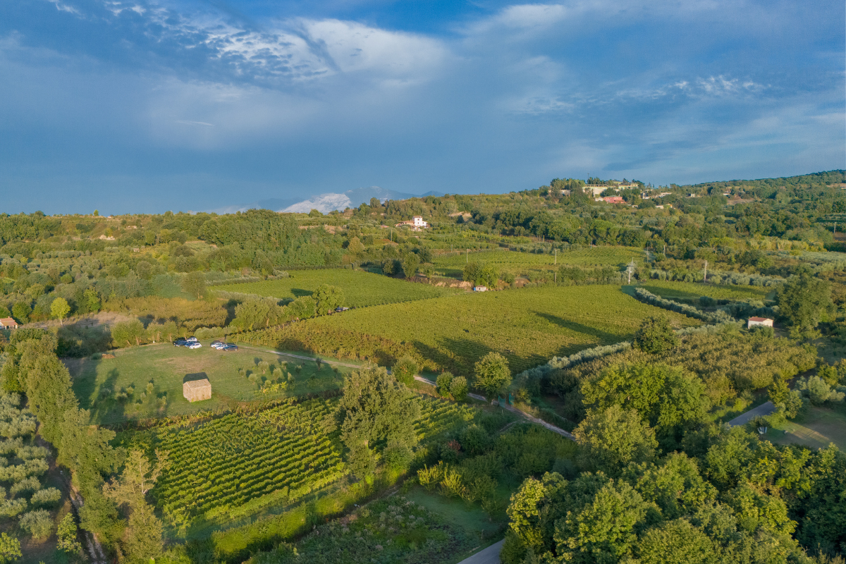 Fattoria Pagano presidia tutte le aree dell’eccellenza enologica campana