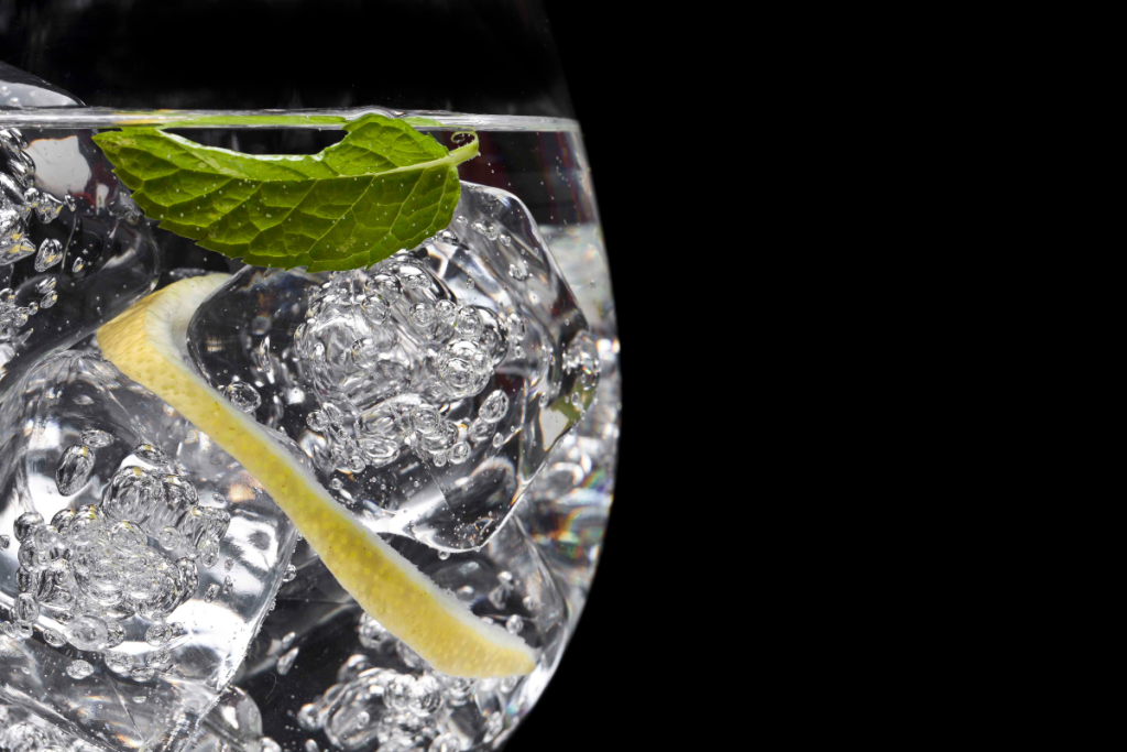 Il Gin conquista l'Italia un cocktail pronto a sfidare l'Aperol Spritz