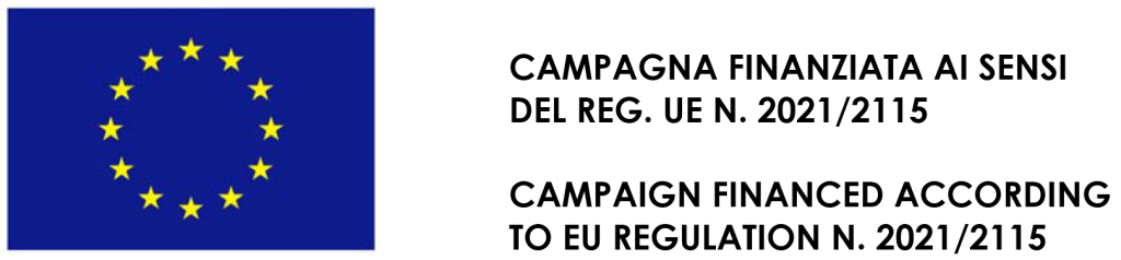 OCM VINO LOGHI 2023 2024