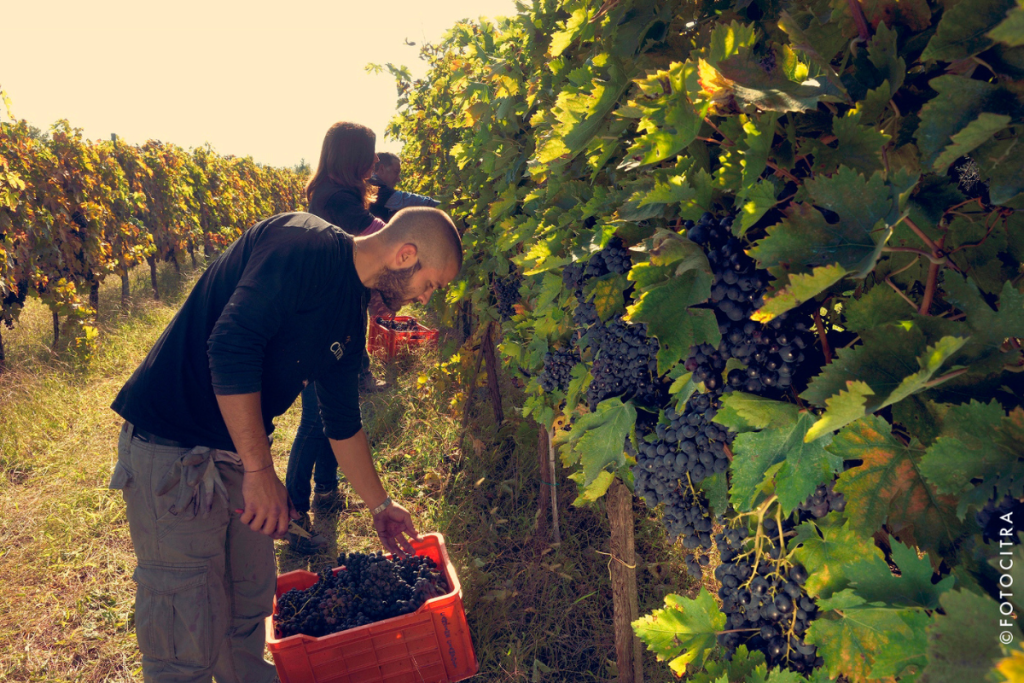 Progetto senza titolo