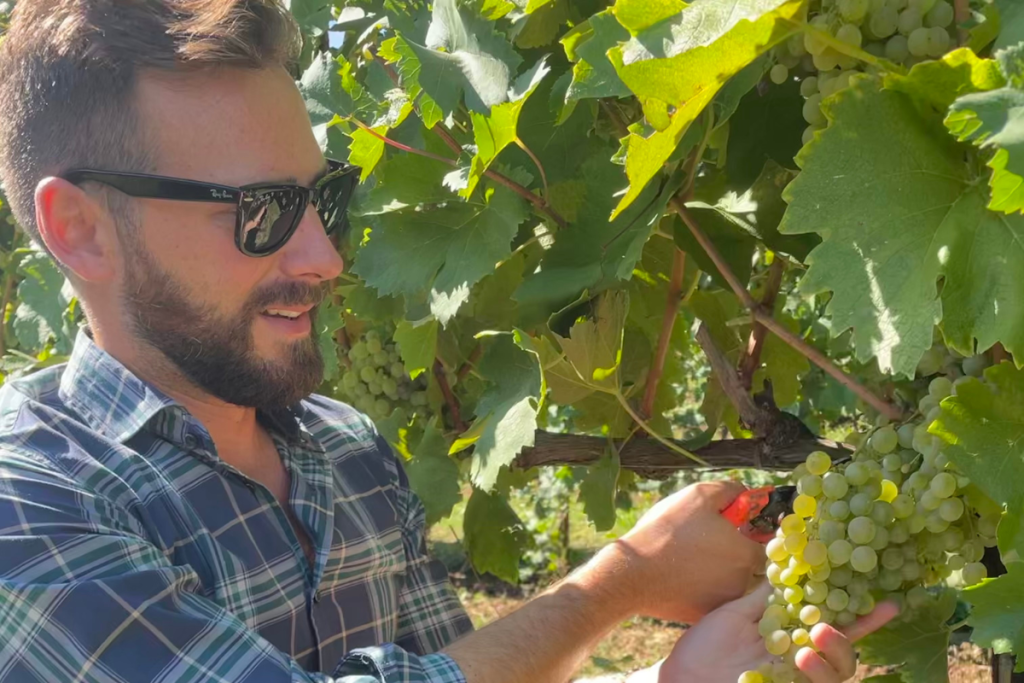 Prosecco Doc by Ardenghi