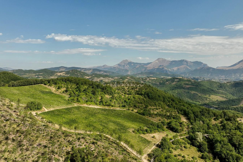 SPUM.E la nascita di un distretto spumantistico per rivitalizzare le montagne umbre