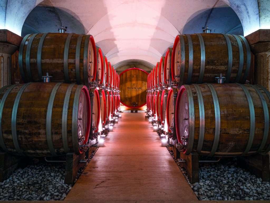 Tommasi Cantina Magnifica LOW 2022