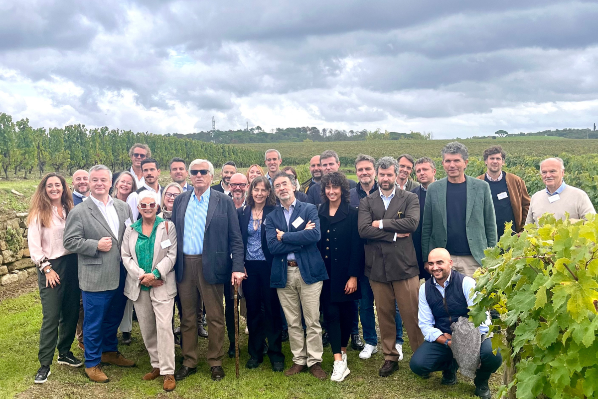 Vecchie vigne, futuro del vino un patrimonio da valorizzare