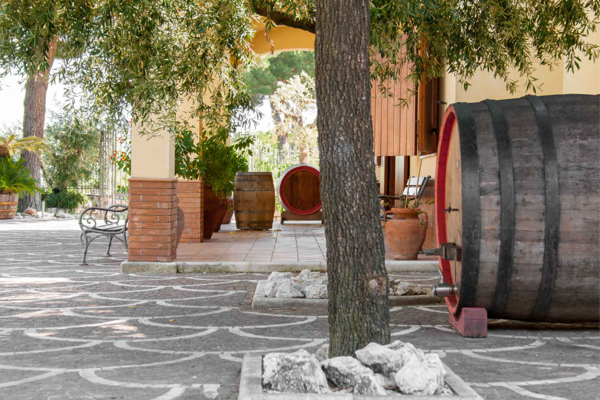 Wine Tourism Hub arriva in Campania con una giornata di formazione in presenza