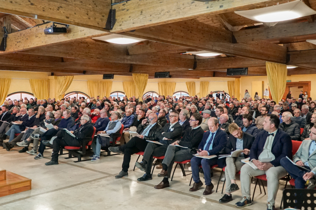 Bilancio 2023:2024 Cadis 1898 aumenta il patrimonio e sostiene i soci con liquidazioni record