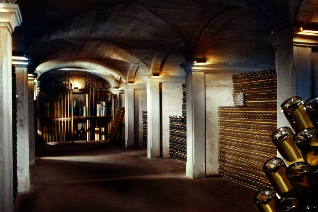 Cavalleri una vigna agroforestale nel cuore della Franciacorta 