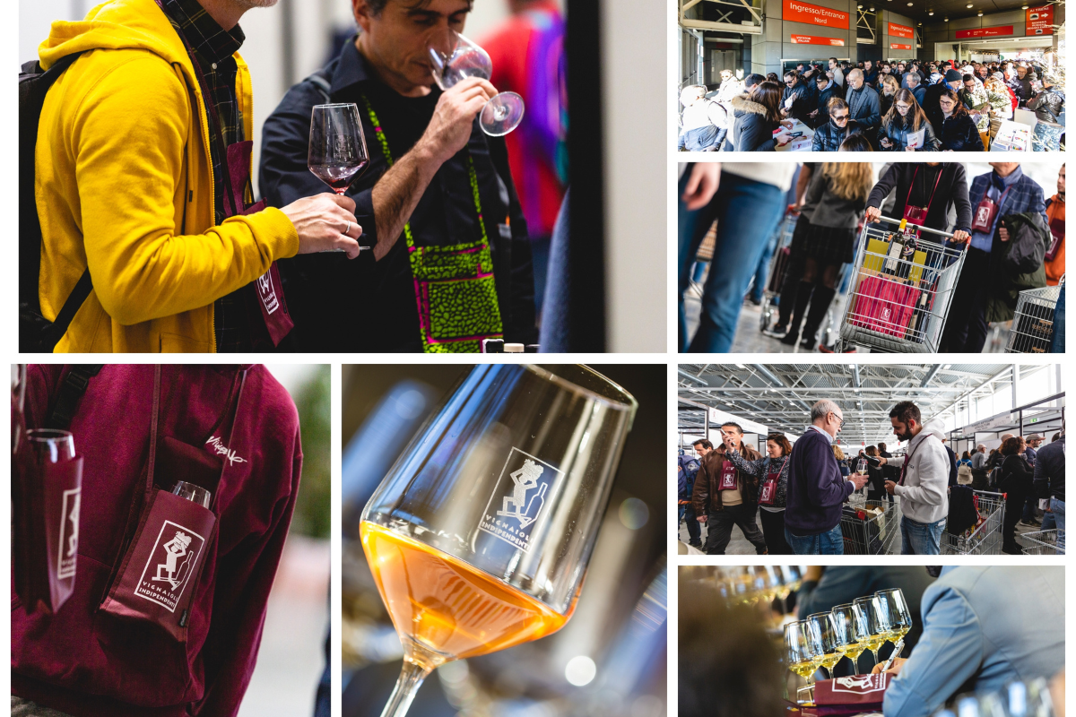 Dal 23 al 25 novembre 2024, BolognaFiere ospita la 13a edizione del Mercato dei Vini FIVI