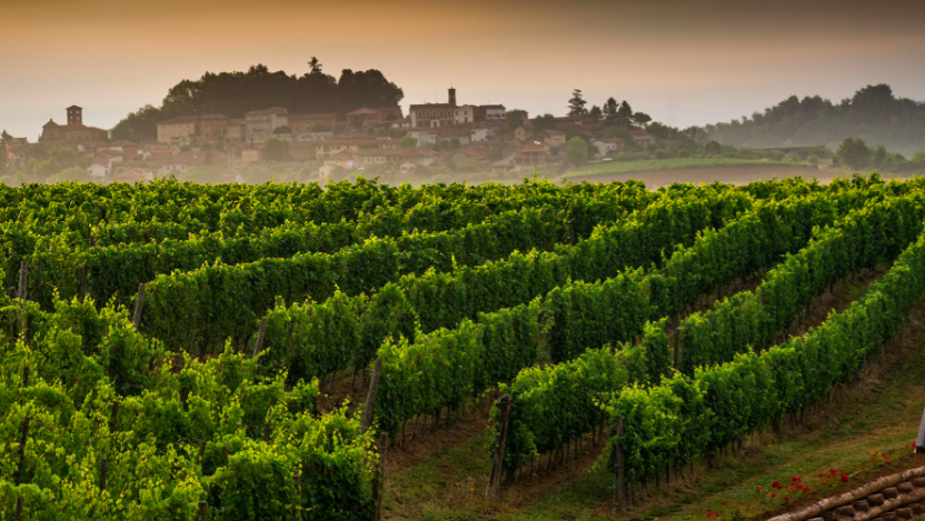 Schermata 2024 11 22 alle 17.29.46