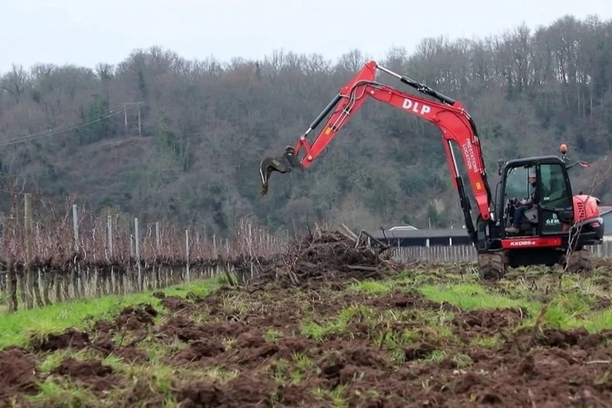 francia vigneti estirpati