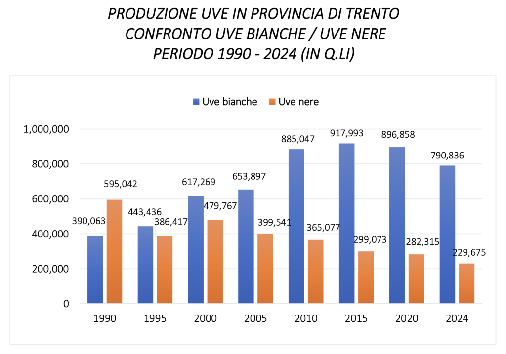 produzione uva bianca nera 1990 2024