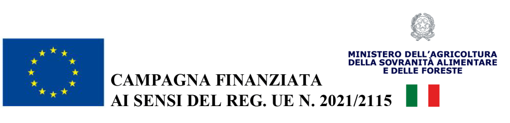 2024 25 Logo Masaf e OCM