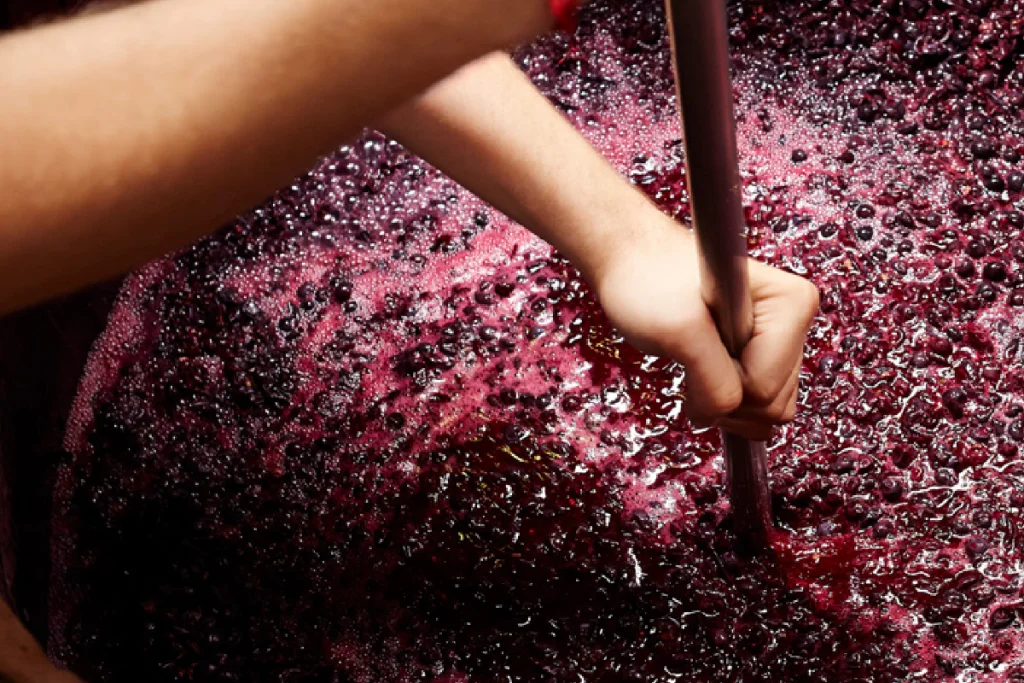 produzione vino mondo