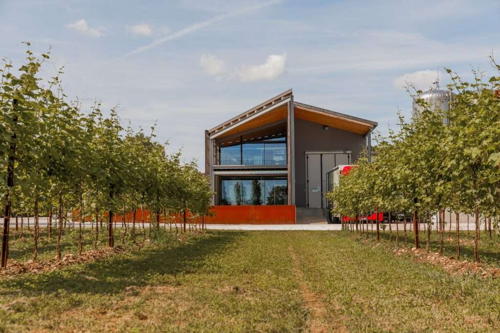 Cantina Pizzolato Esterni (2)