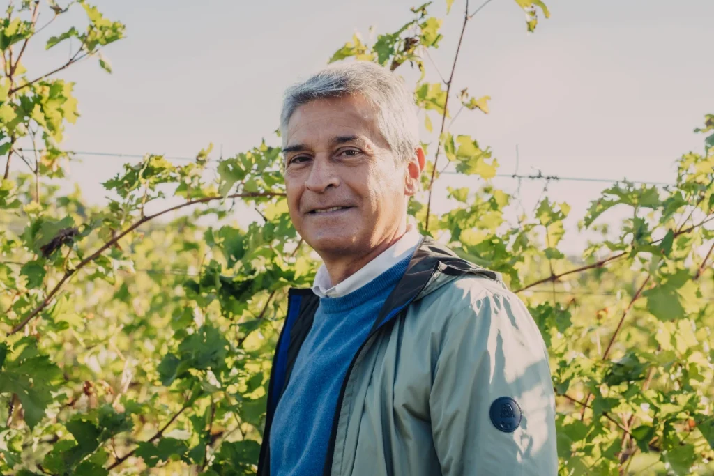 Luigi Turco presidente cantine di verona