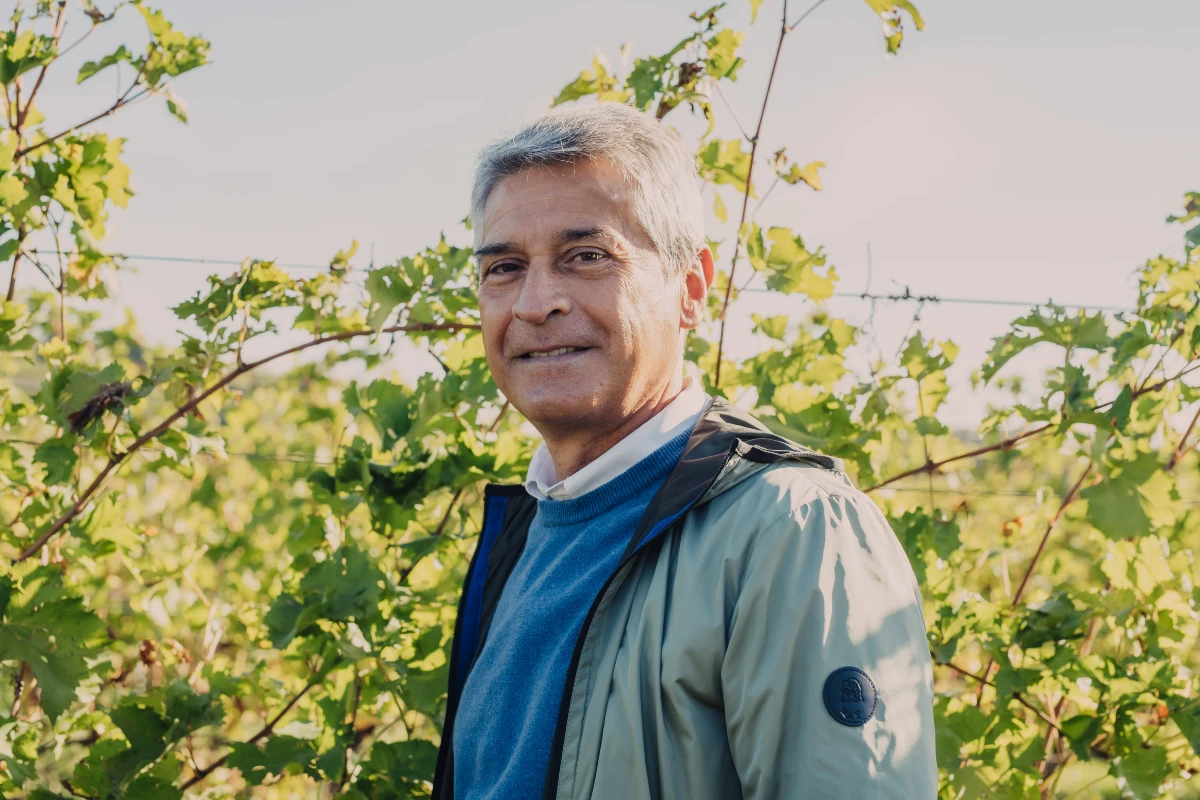 Luigi Turco presidente cantine di verona