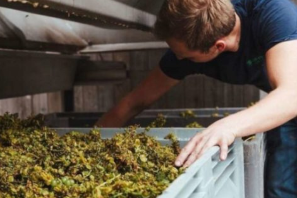 Progetto senza titolo (3)