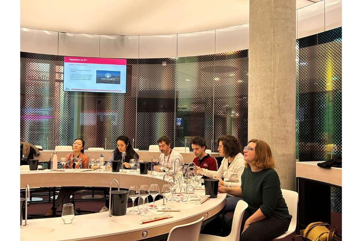 The Wine Net alla Cité du Vin di Bordeaux