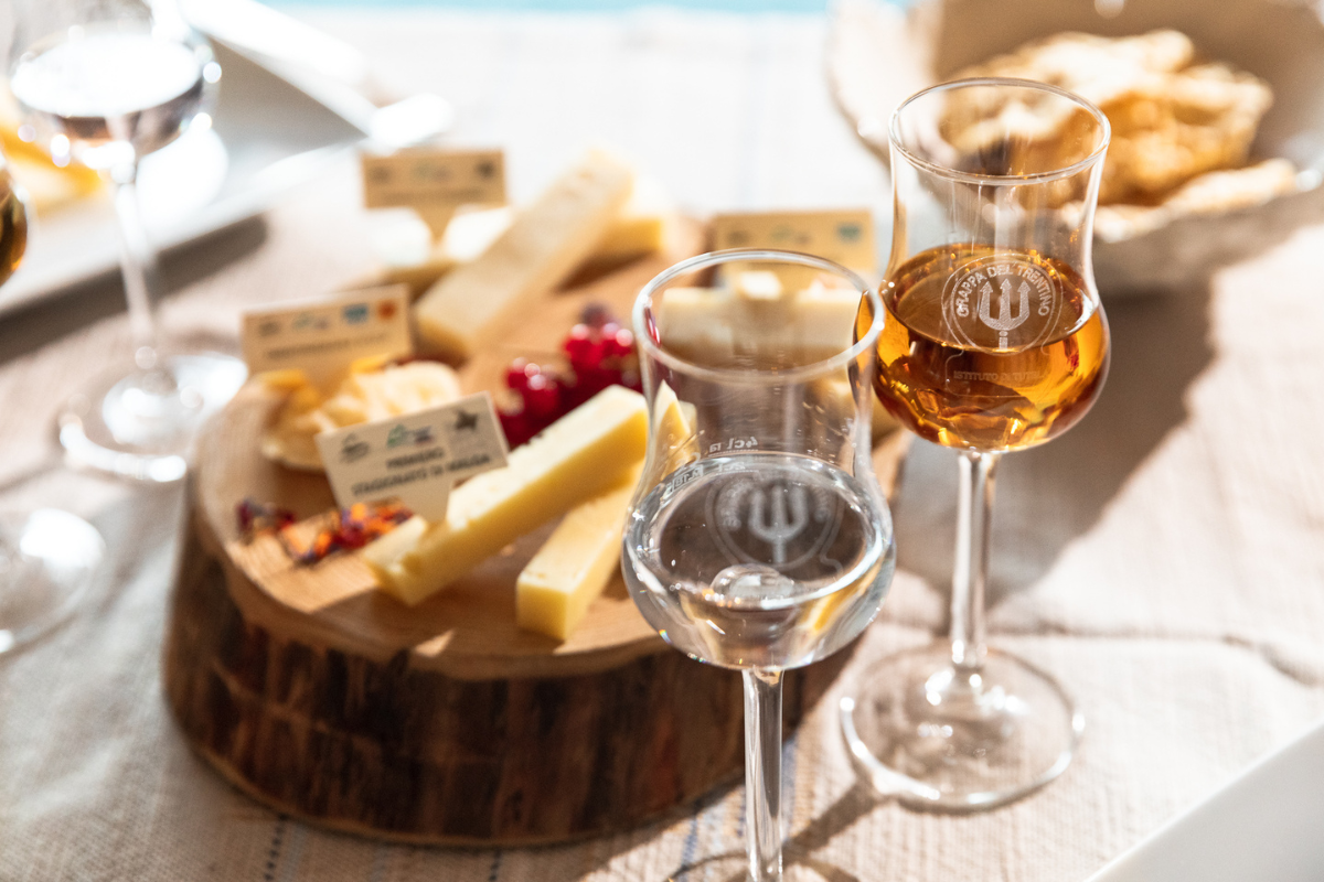 A marzo torna #GrappaTre1 marzontinoLovers e Trentino&Wine un viaggio tra grappa, vino e tradizione trentina