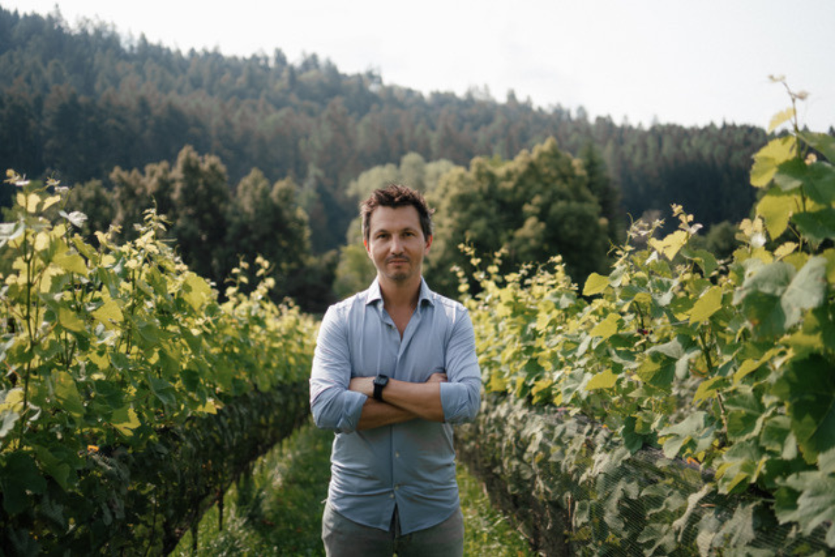 Nicola Biasi Basta chiamarli solo PIWI e concentrarsi sulle denominazioni delle varietà