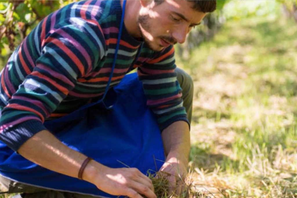 Progetto senza titolo (3)