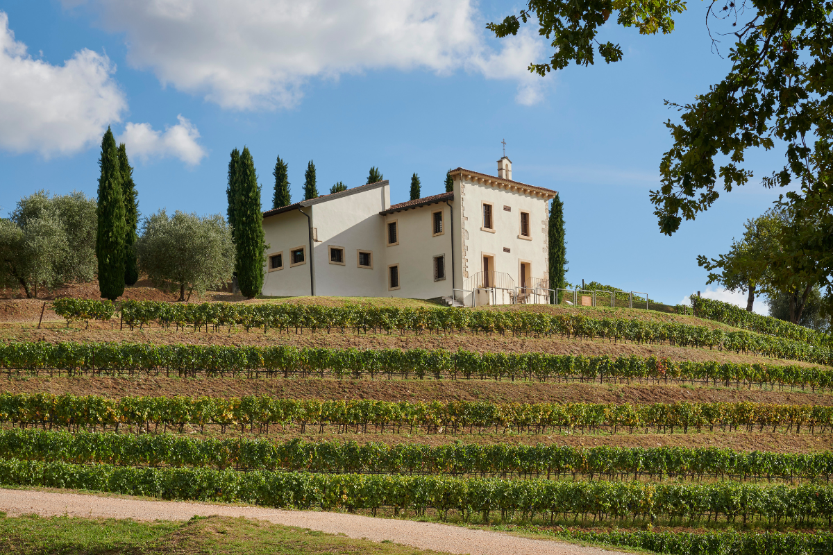 Cambio tra le cantine di Famiglie Storiche esce Venturini, entra Bertani