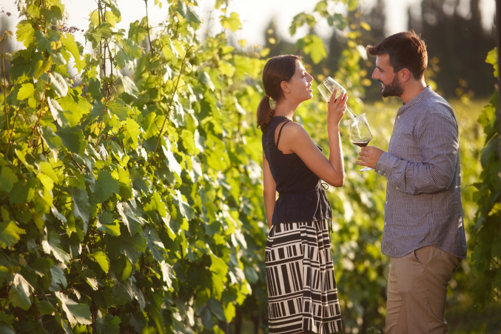 Consorzio Incoming Experience Wine Meridian aiuta i consorzi vitivinicoli a sviluppare l’enoturismo attirando tour operator internazionali nel territorio