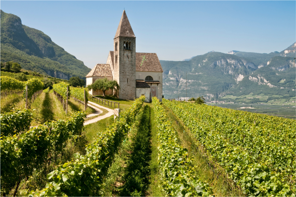 Il terroir prende voce la sfida di Hofstätter per un vino che racconta l’Alto Adige