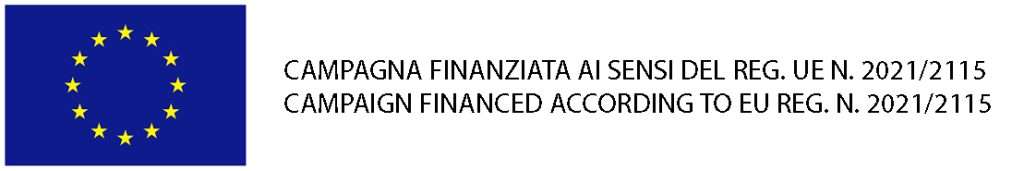 Nuovo logo OCM 2024 2025