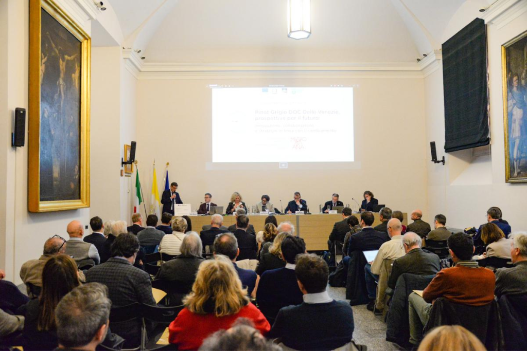 Pinot Grigio DOC Delle Venezie tra crescita, innovazione e nuove strategie di mercato