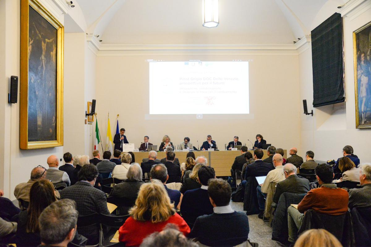 Pinot Grigio DOC Delle Venezie tra crescita, innovazione e nuove strategie di mercato