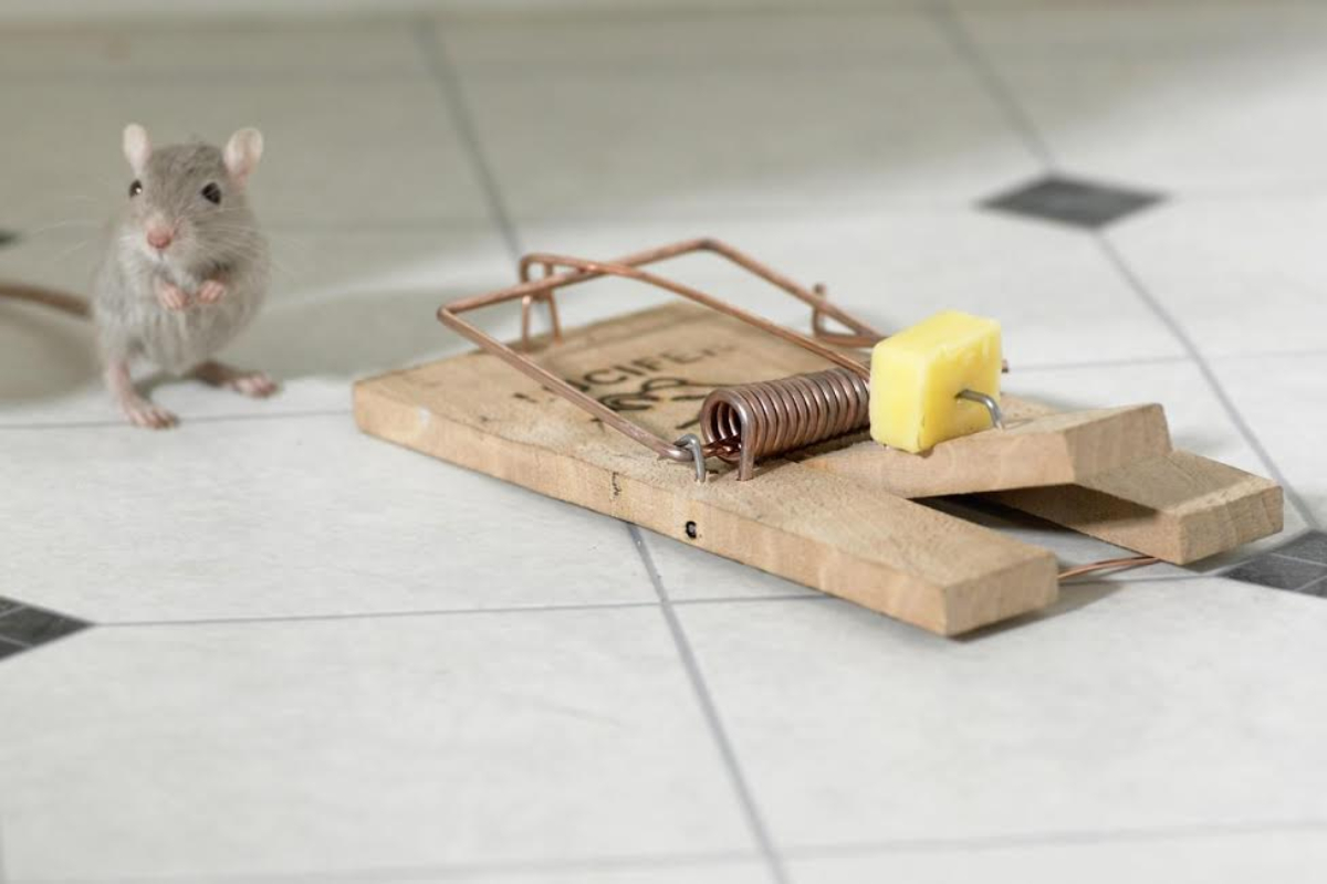 ai intelligenza artificiale trappola