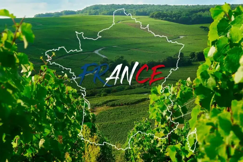 francia vino piano rilancio