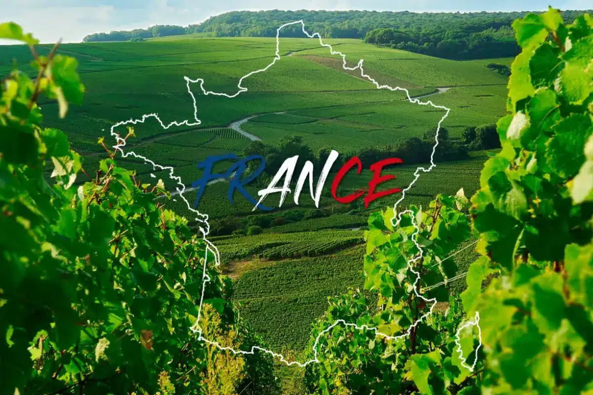 francia vino piano rilancio