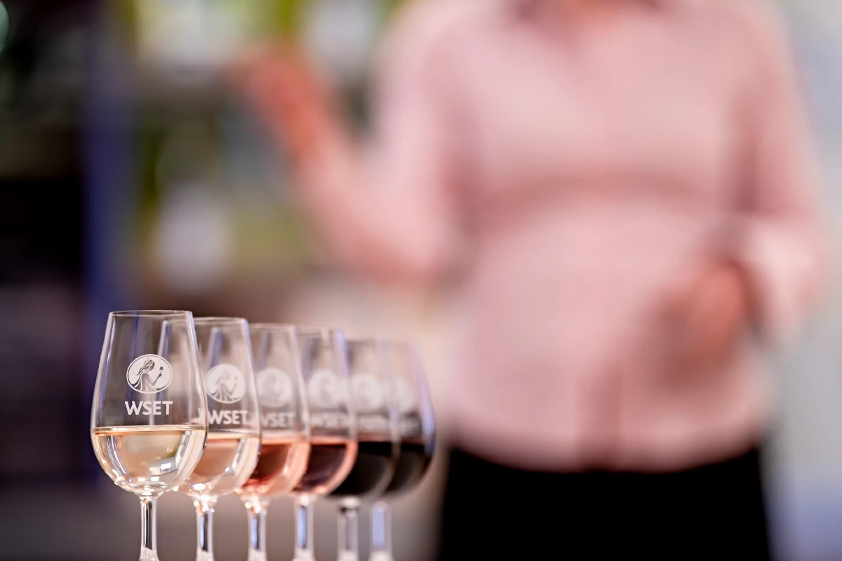 wset formazione vino