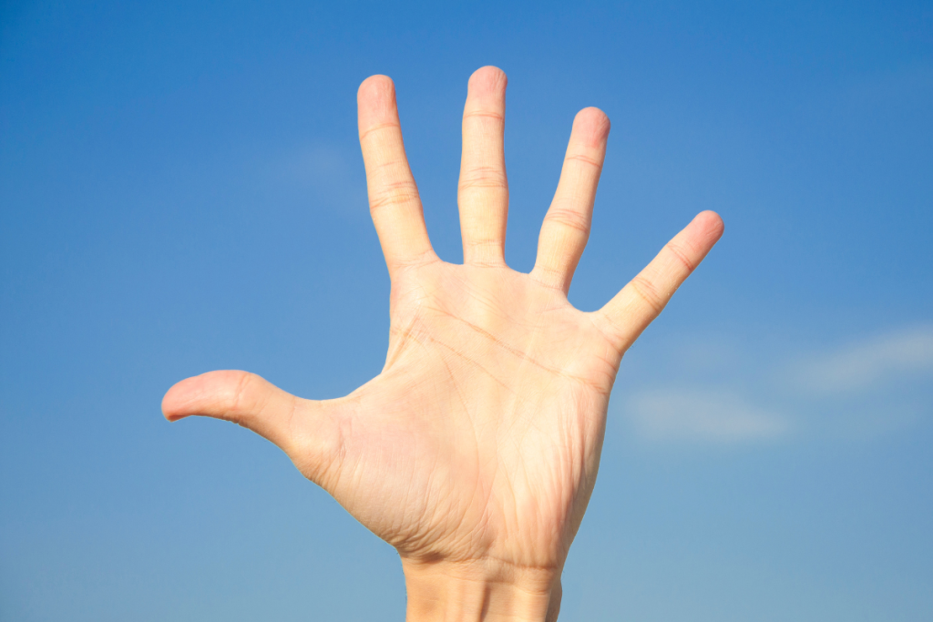 5 strategie digital intelligenti per attirare più turisti in cantina (senza spendere una fortuna)