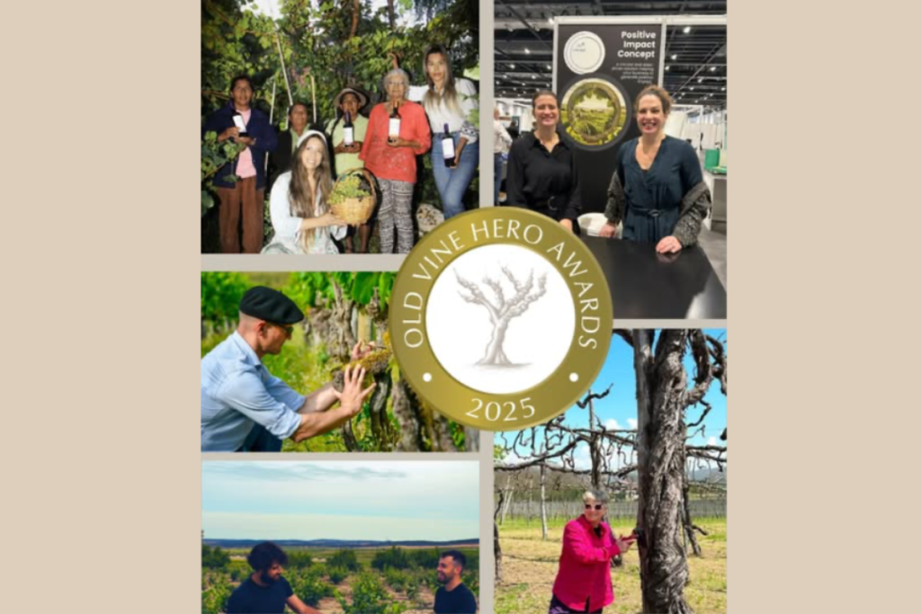 Annunciati i vincitori degli Old Vine Hero Awards 2025, il premio internazionale che celebra il valore delle vecchie viti