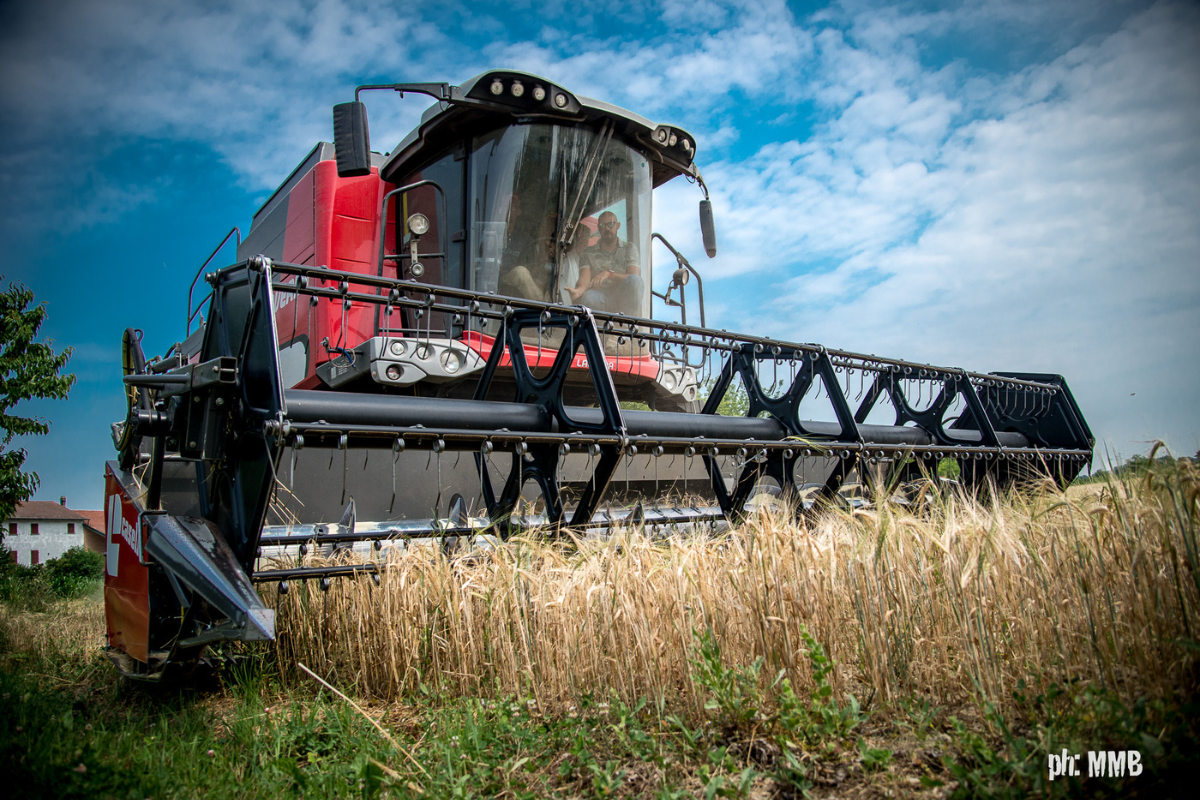 Cascina Motta la birra artigianale che nasce dalla terra e dall’impegno contadino