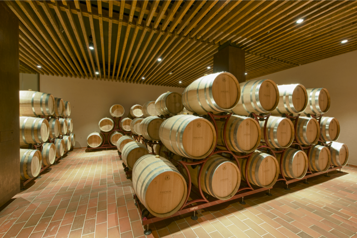 Fantini Wines chiude il 2024 con un EBITDA al 27,5% e rilancia al Vinitaly con quattro nuove etichette