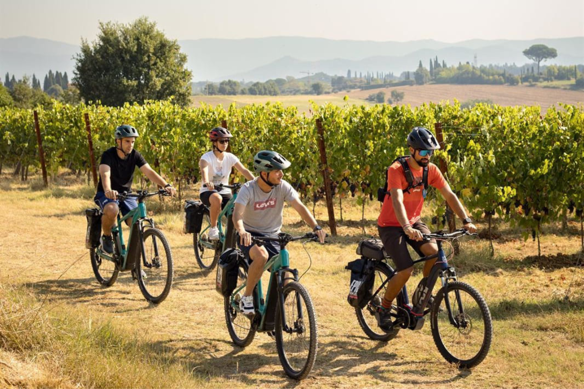 Il turismo del vino italiano mostra tutta la sua vitalità nella prima indagine nazionale del Movimento Turismo del Vino