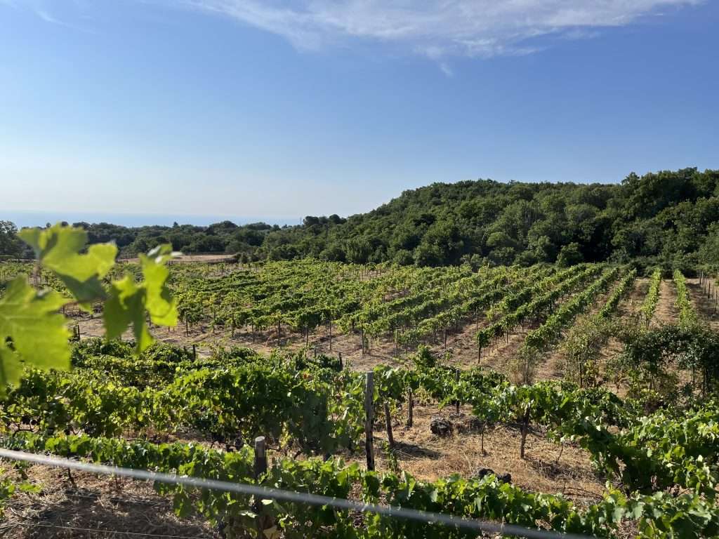 OFFICIAL FOTO TENUTA