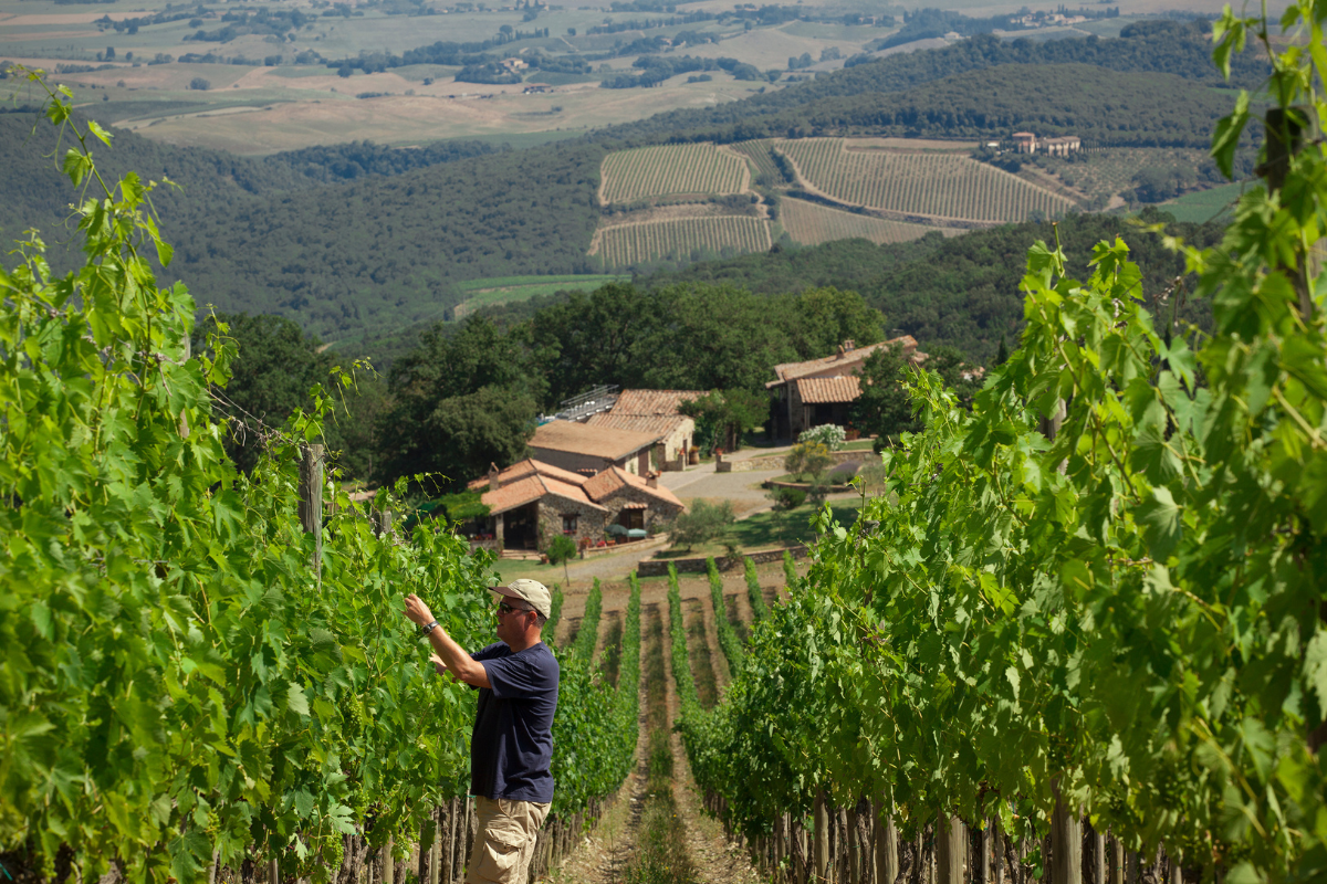 Per stare sul mercato serve intelligence e notizie di prima mano la lezione di Carpineto