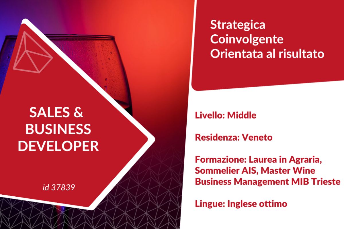 Sales & Business Developer