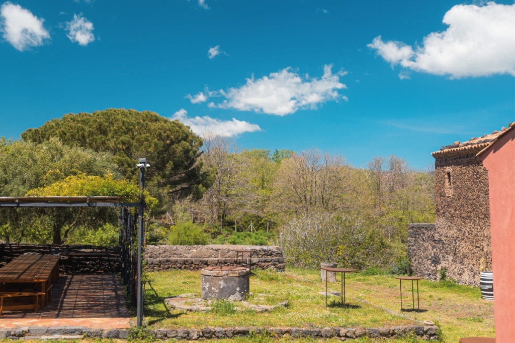 Wine is a Contemporary Story Planeta firma un manifesto che unisce cultura, arte e territorio