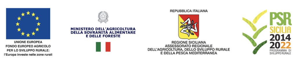 Loghi istituzionali Cantine Birgi