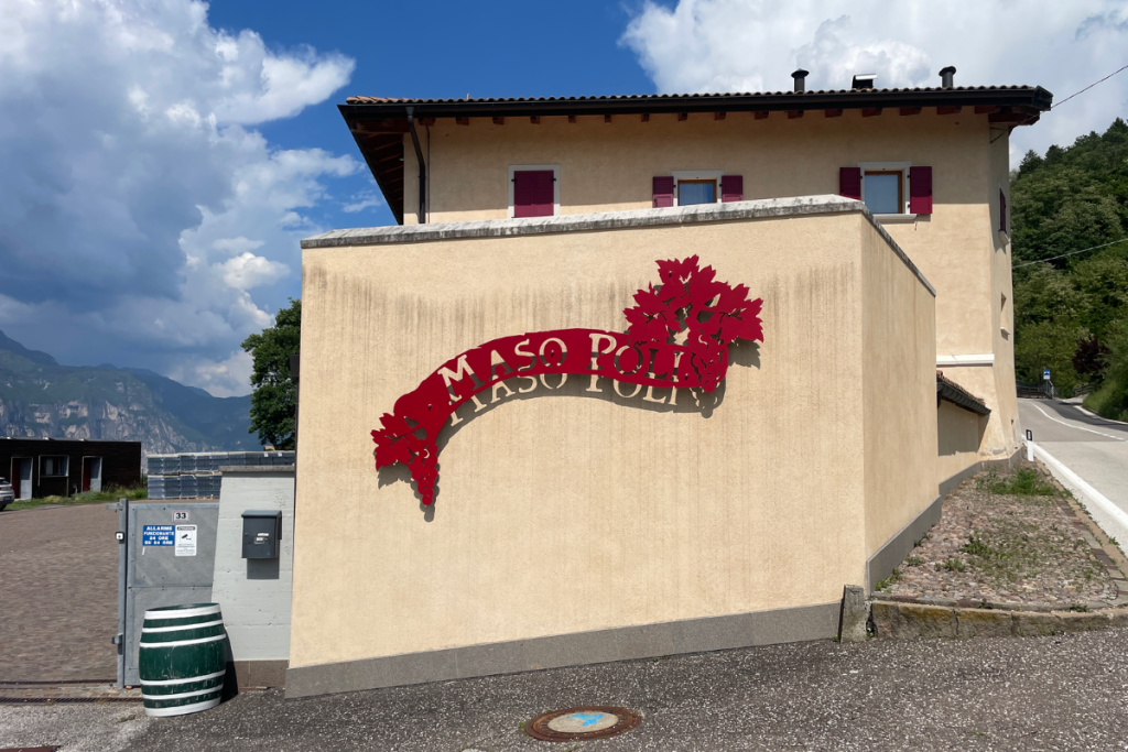 Maso Poli un sorso di futuro