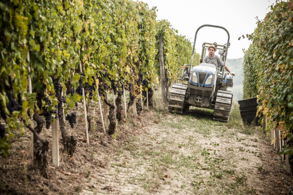 The Wine Net a Vyno Dienos 2025 un ponte tra la cooperazione italiana e il mercato baltico