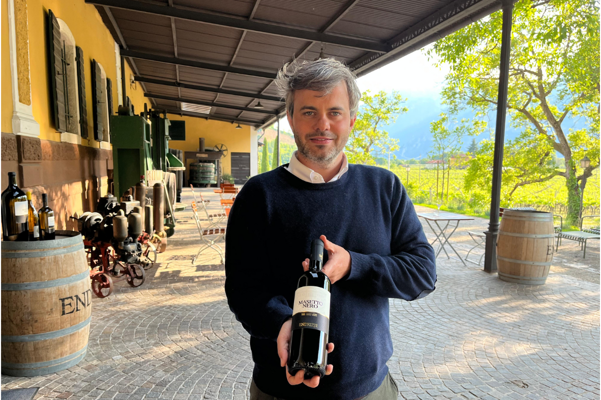 Tra filari e pipistrelli il racconto sostenibile della Cantina Endrizzi