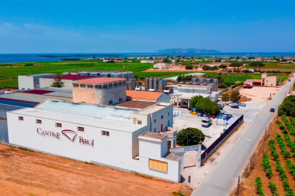 cantine birgi fliliera corta
