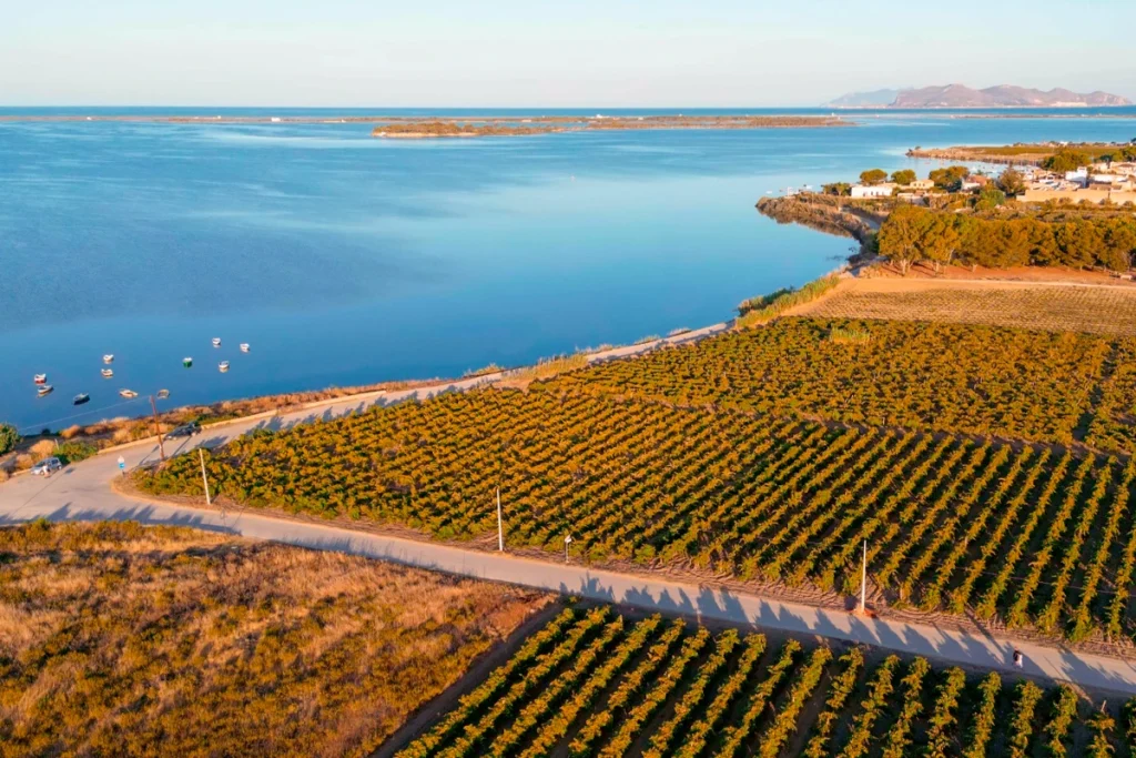 cantine birgi territorio biodiversità